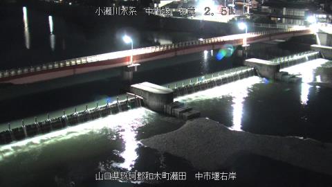 2025年5月2日19時 の様子