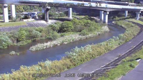 2025年5月3日8時 の様子