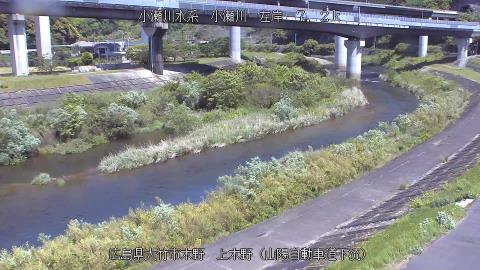 2025年5月3日10時 の様子