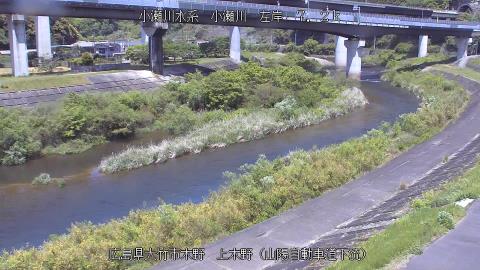 2025年5月3日11時 の様子