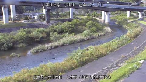 2025年5月3日15時 の様子