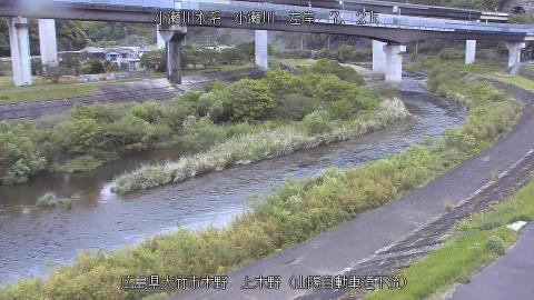 2025年5月3日17時 の様子