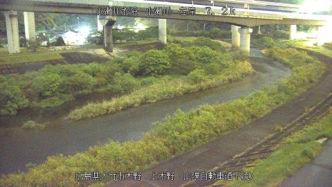 2025年5月3日19時 の様子