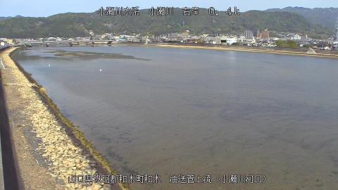 2025年5月2日8時 の様子