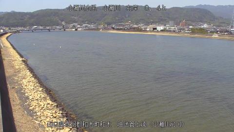 2025年5月2日10時 の様子