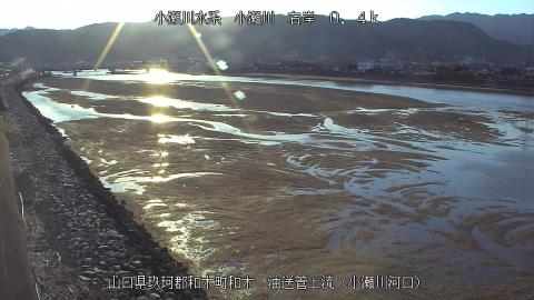 2025年5月2日17時 の様子
