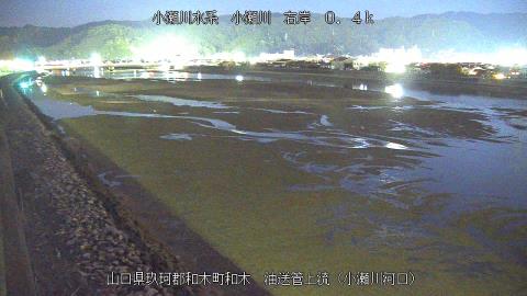 2025年5月2日19時 の様子