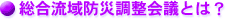 ��������h�В�����c�Ƃ�?