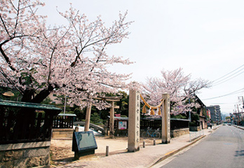 7.二葉の里歴史の散歩道