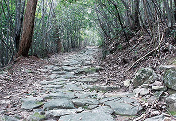 37.中郡古道