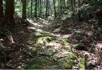 50.古道 津和野街道・廿日市