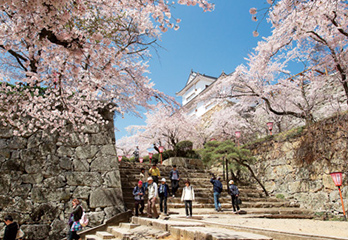 11.出雲街道津山城東むかし町