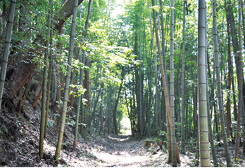 33.美郷町石見銀山街道