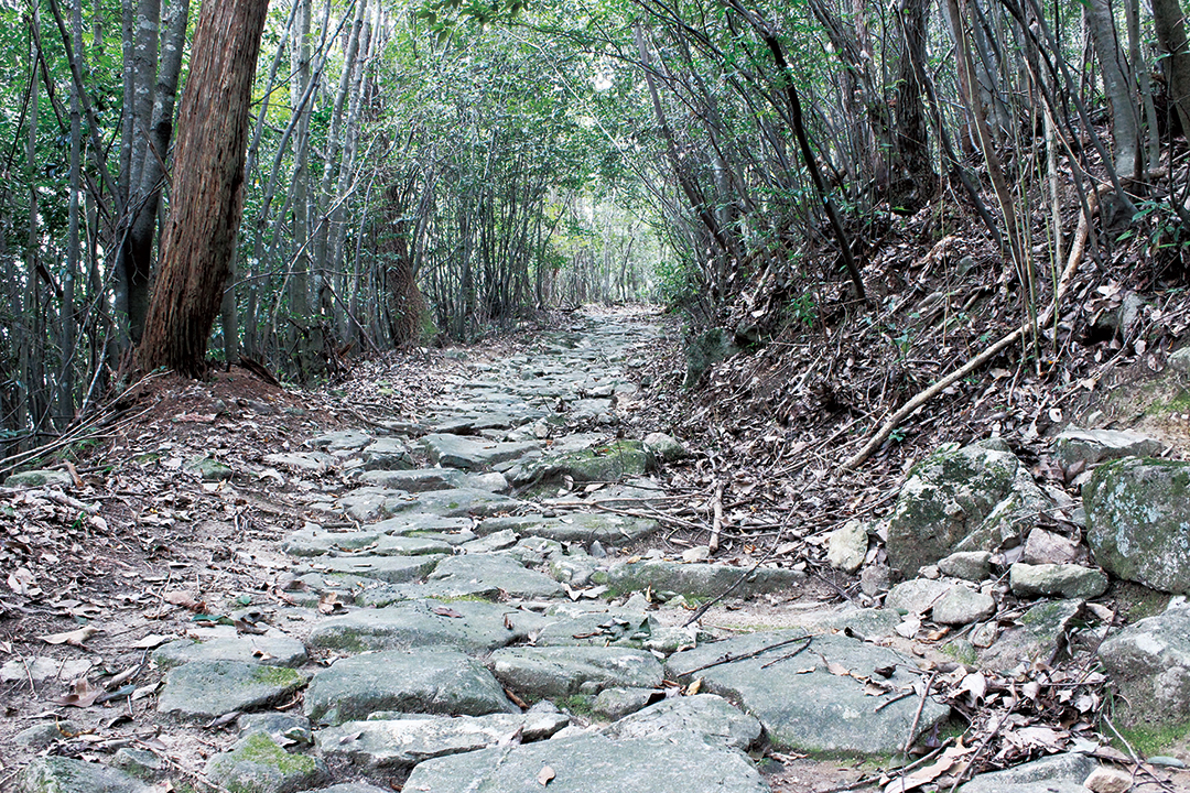 中郡古道