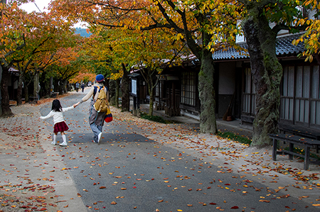 【作品名】新庄村がいせん桜通り　撮影者：堀 小夜子 様 夢街道ルネサンス認定地区名：出雲街道新庄宿（岡山県真庭郡新庄村）