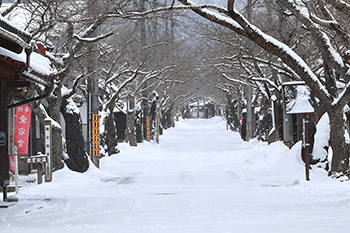 【テーマ】雪化粧の新庄宿　撮影者：小野 昭裕 様 夢街道ルネサンス認定地区名：出雲街道新庄宿（岡山県真庭郡新庄村）