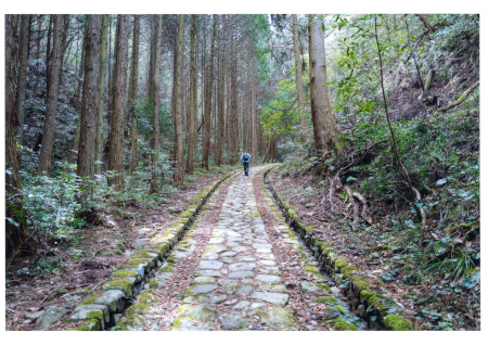 【作品名】古き道を歩みて想い馳せる 撮影者：林 幸子 様 【夢街道ルネサンス認定地区名】萩往還（山口県萩市明木）