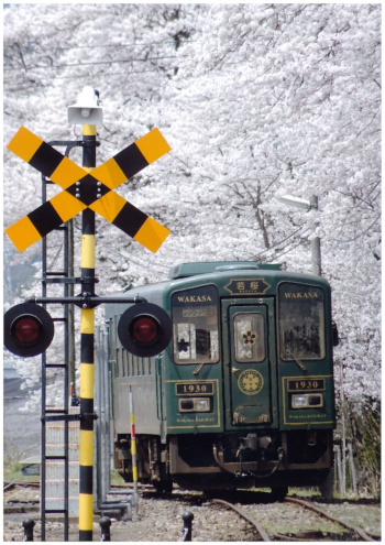 【作品名】桜満開の若桜駅 撮影者：加藤 真理子 様 夢街道ルネサンス認定地区名：若桜清流通り（鳥取県八頭郡若桜町）