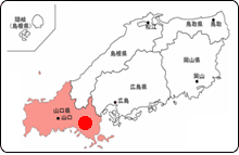 �ʒu�}
