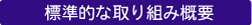 標準的な取り組み概要