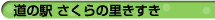 ̗