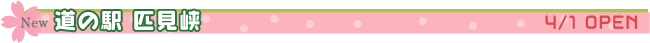 ̉wC