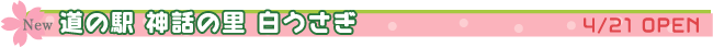 ̉w_b̗