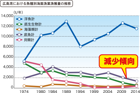 広島湾における魚種別海面漁業漁獲量の推移