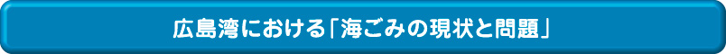 広島湾における「海ごみの現状と問題」