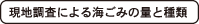 現地調査による海ごみの量と種類