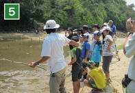 環境学習（宮島の生き物調査）