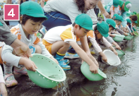 魚介類の放流