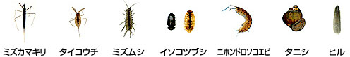 ~YJ}LE^CRE`E~YVEC\RcuVEjzh\RGrE^jVEq