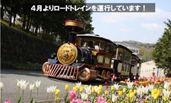 スイセンファンタジー開催します（3月16日～）