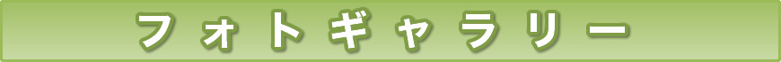 tHgM[