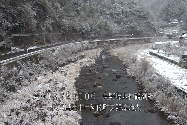 01月11日16時00分