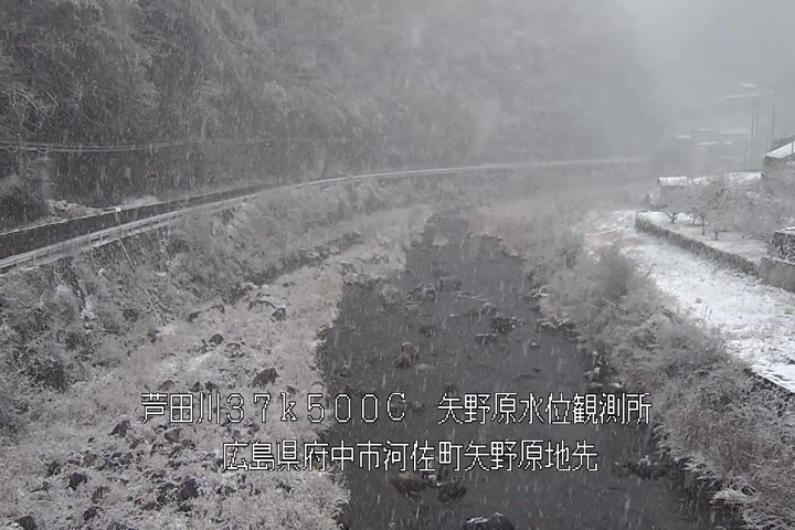 01月11日17時00分