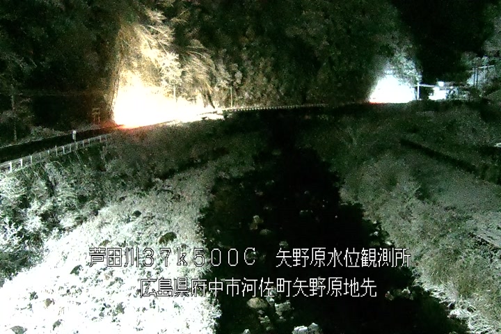 01月11日19時00分