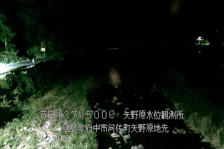 05月11日20時00分