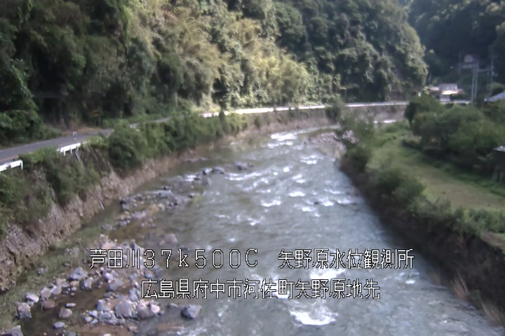 06月29日09時00分
