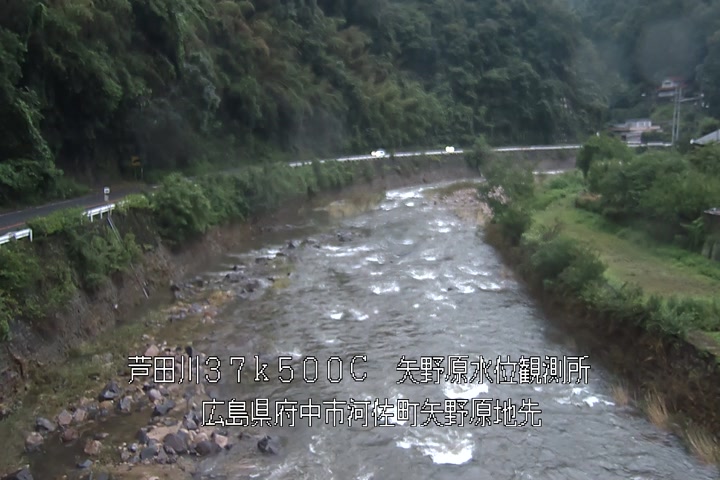 07月01日19時00分