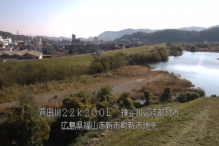 11月20日11時00分