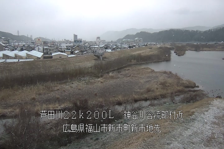 01月11日16時00分