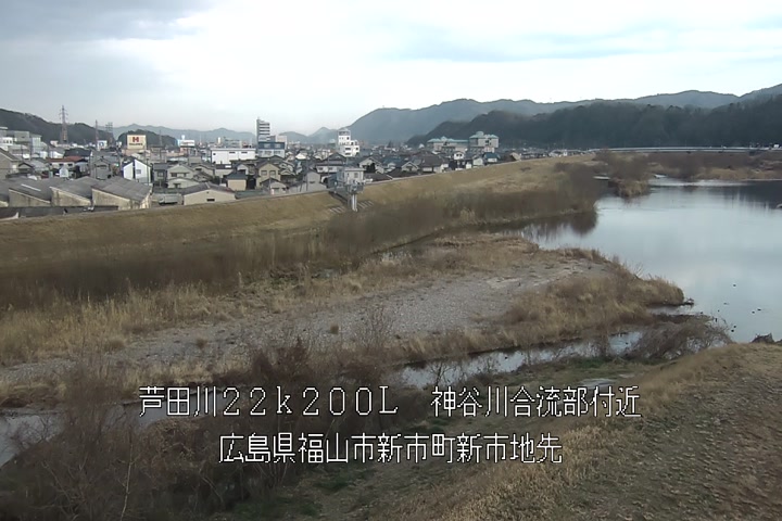 01月15日16時00分