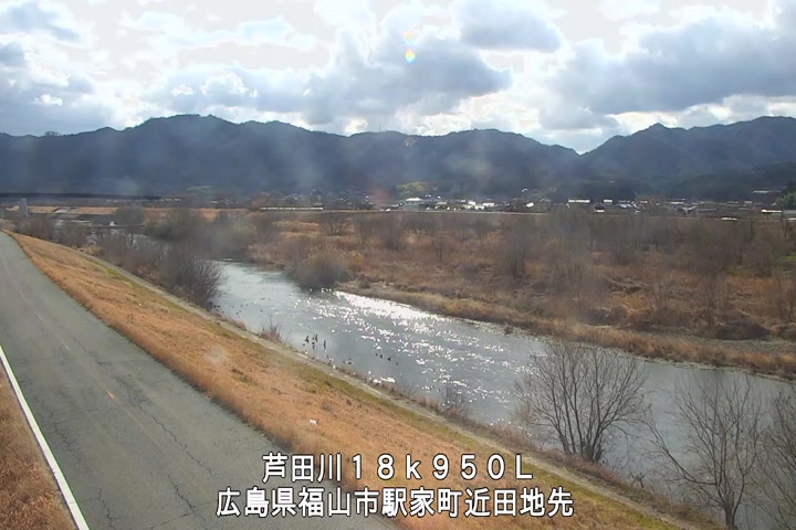 01月31日11時00分