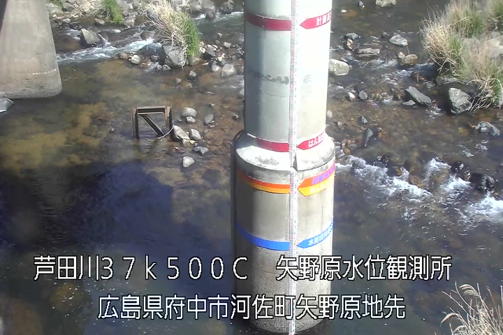 04月29日14時00分