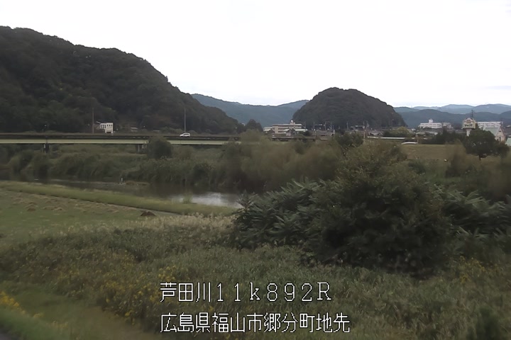 10月19日11時00分