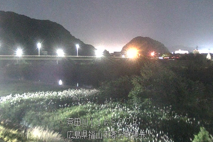 11月02日20時00分