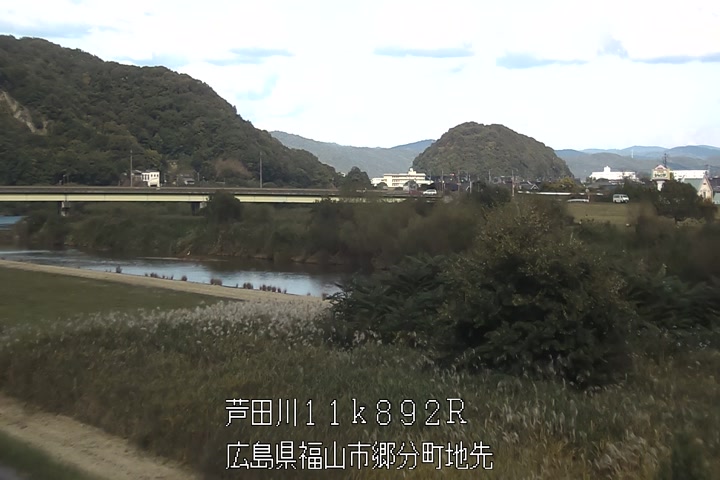 11月06日14時00分