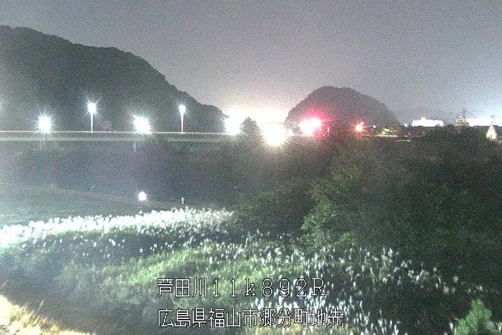 11月08日20時00分